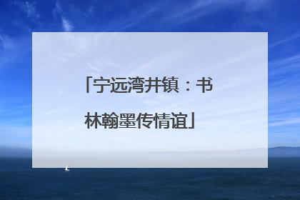 宁远湾井镇：书林翰墨传情谊