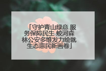 守护青山绿意 服务保障民生 蛟河森林公安多维发力绘就生态惠民新画卷