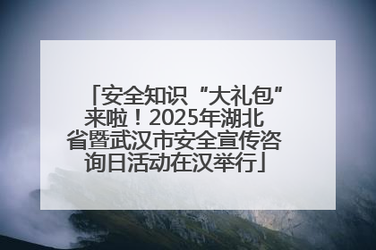 安全知识“大礼包”来啦！2025年湖北省暨武汉市安全宣传咨询日活动在汉举行