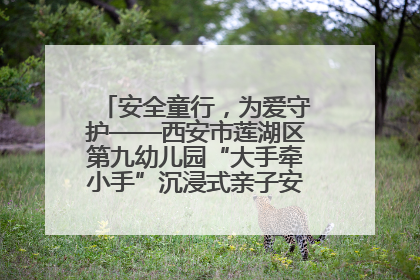 安全童行，为爱守护——西安市莲湖区第九幼儿园“大手牵小手”沉浸式亲子安全体验活动