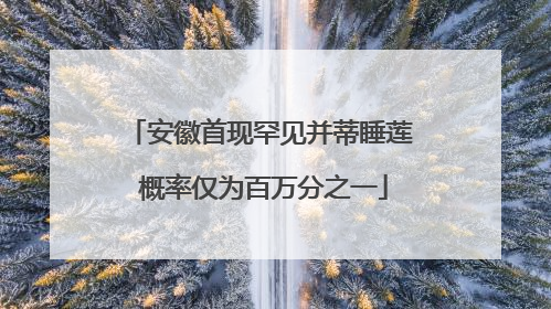 安徽首现罕见并蒂睡莲 概率仅为百万分之一