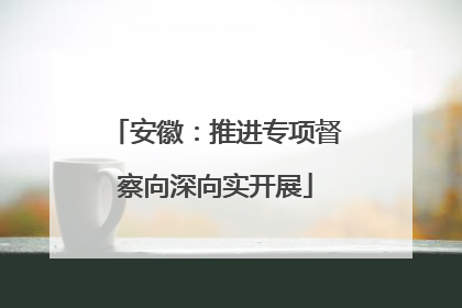 安徽：推进专项督察向深向实开展