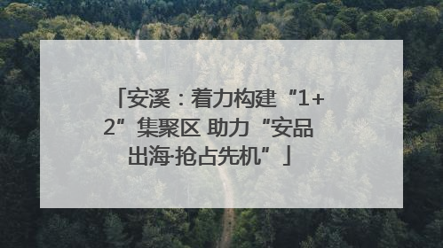 安溪：着力构建“1+2”集聚区 助力“安品出海·抢占先机”