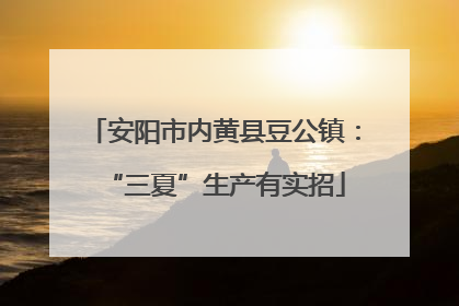 安阳市内黄县豆公镇：“三夏”生产有实招