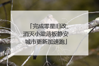 完成零星旧改、消灭小梁薄板静安城市更新加速跑