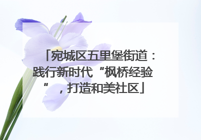 宛城区五里堡街道：践行新时代“枫桥经验”，打造和美社区