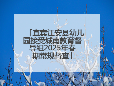 宜宾江安县幼儿园接受城南教育督导组2025年春期常规督查