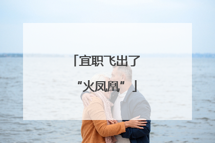 宜职飞出了“火凤凰”