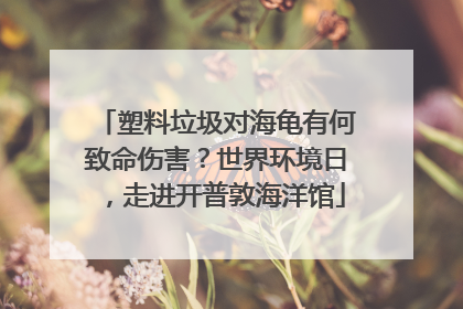 塑料垃圾对海龟有何致命伤害？世界环境日，走进开普敦海洋馆