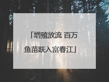 增殖放流 百万鱼苗跃入富春江