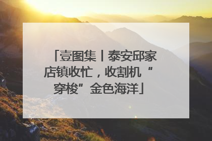 壹图集丨泰安邱家店镇收忙，收割机“穿梭”金色海洋