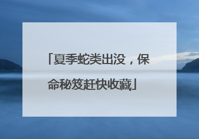 夏季蛇类出没，保命秘笈赶快收藏