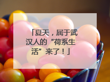 夏天，属于武汉人的“荷系生活”来了！