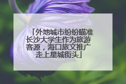 外地城市纷纷瞄准长沙大学生作为旅游客源，海口旅文推广走上星城街头