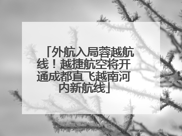 外航入局蓉越航线！越捷航空将开通成都直飞越南河内新航线
