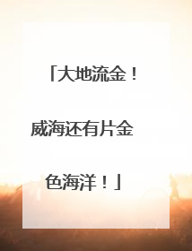 大地流金！威海还有片金色海洋！