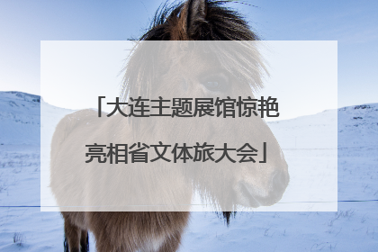 大连主题展馆惊艳亮相省文体旅大会