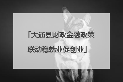 大通县财政金融政策联动稳就业促创业
