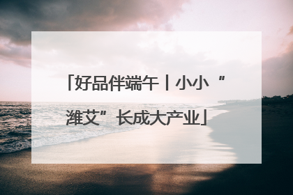 好品伴端午丨小小“潍艾”长成大产业