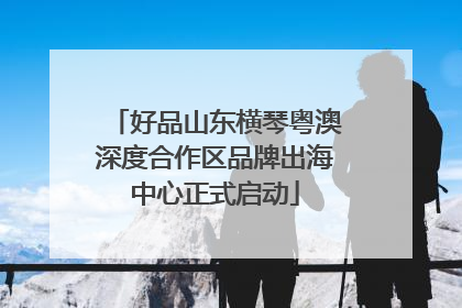 好品山东横琴粤澳深度合作区品牌出海中心正式启动