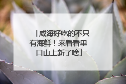 威海好吃的不只有海鲜！来看看里口山上新了啥