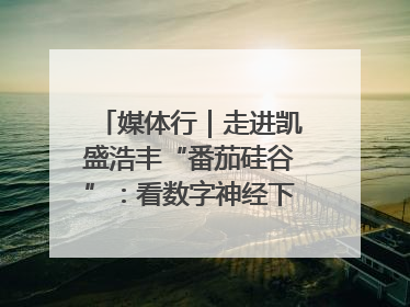 媒体行｜走进凯盛浩丰“番茄硅谷”：看数字神经下的精准农业
