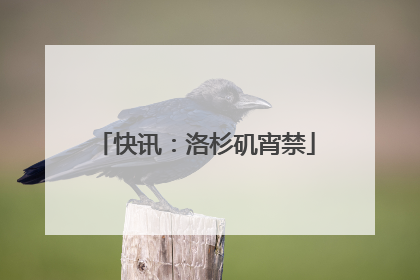快讯：洛杉矶宵禁