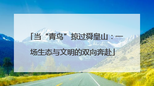 当“青鸟”掠过舜皇山：一场生态与文明的双向奔赴