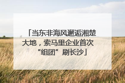 当东非海风邂逅湘楚大地，索马里企业首次“组团”刷长沙