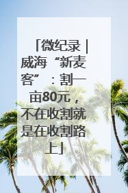 微纪录｜威海“新麦客”：割一亩80元，不在收割就是在收割路上