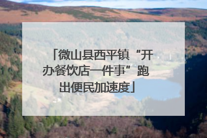 微山县西平镇“开办餐饮店一件事”跑出便民加速度