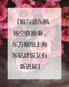 将与浦东机场空铁换乘，东方枢纽上海东站建设又有新进展