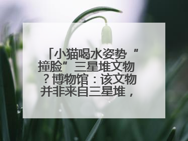 小猫喝水姿势“撞脸”三星堆文物？博物馆：该文物并非来自三星堆，有可能是它