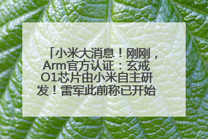 小米大消息！刚刚，Arm官方认证：玄戒O1芯片由小米自主研发！雷军此前称已开始大规模量产
