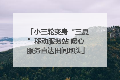 小三轮变身“三夏”移动服务站 暖心服务直达田间地头