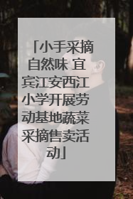 小手采摘自然味 宜宾江安西江小学开展劳动基地蔬菜采摘售卖活动