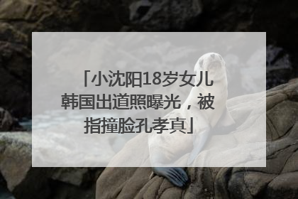 小沈阳18岁女儿韩国出道照曝光，被指撞脸孔孝真