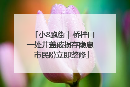 小8跑街｜桥梓口一处井盖破损存隐患 市民盼立即整修