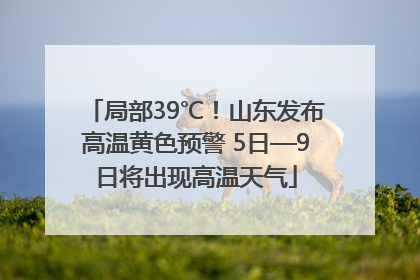 局部39℃！山东发布高温黄色预警 5日—9日将出现高温天气