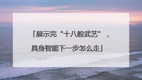 展示完“十八般武艺”，具身智能下一步怎么走