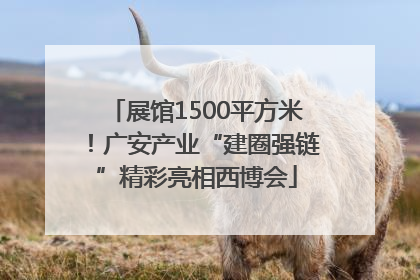 展馆1500平方米！广安产业“建圈强链”精彩亮相西博会