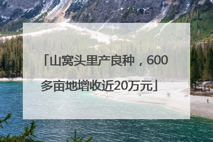 山窝头里产良种，600多亩地增收近20万元