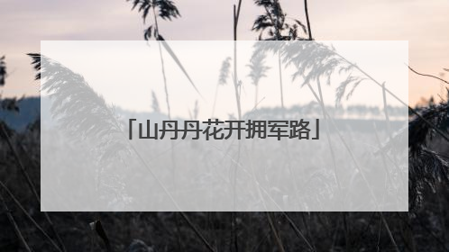 山丹丹花开拥军路