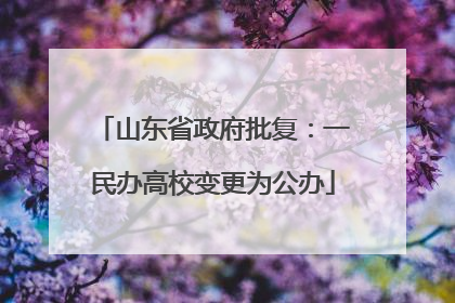 山东省政府批复：一民办高校变更为公办