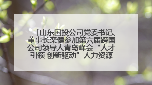 山东国投公司党委书记、董事长栾健参加第六届跨国公司领导人青岛峰会“人才引领 创新驱动”人力资源高质量发展对话会