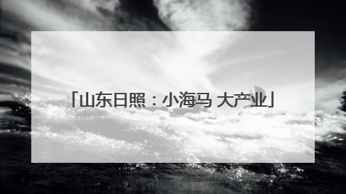 山东日照：小海马 大产业
