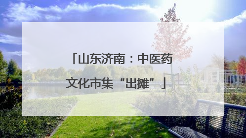 山东济南：中医药文化市集“出摊”