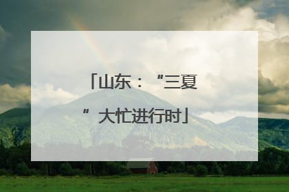 山东：“三夏”大忙进行时