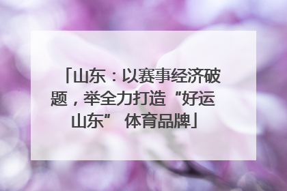 山东：以赛事经济破题，举全力打造“好运山东” 体育品牌