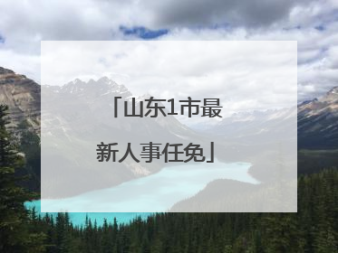 山东1市最新人事任免